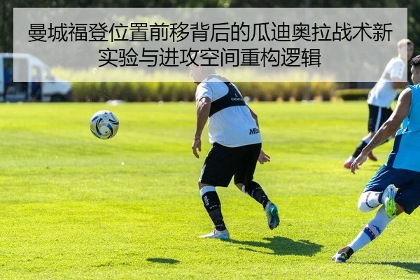 img_1781374034554_101_1_557.jpg