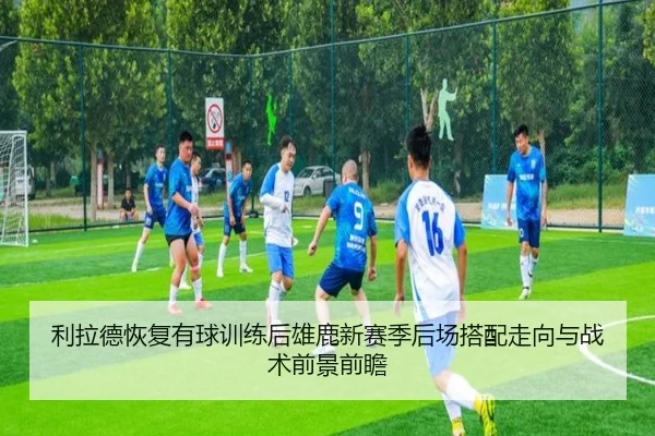 利拉德恢复有球训练后雄鹿新赛季后场搭配走向与战术前景前瞻